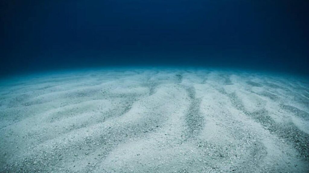 Sinyal Aneh dari Laut Dalam yang Membuat Ilmuwan Terdiam