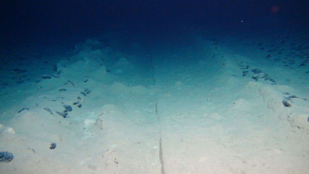 Sinyal Aneh dari Laut Dalam yang Membuat Ilmuwan Terdiam