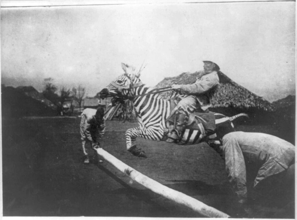 Rahasia Zebra yang Mustahil Dijinakkan, Berbeda Jauh dari Kuda