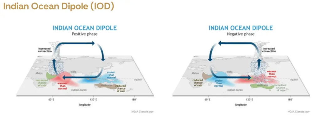 PBB Bunyikan Alarm El Nino 2026! Indonesia Disebut Punya Nasib Berbeda
