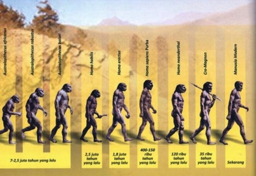 Studi Fosil Terbaru Mengguncang Teori Lama tentang Evolusi Manusia